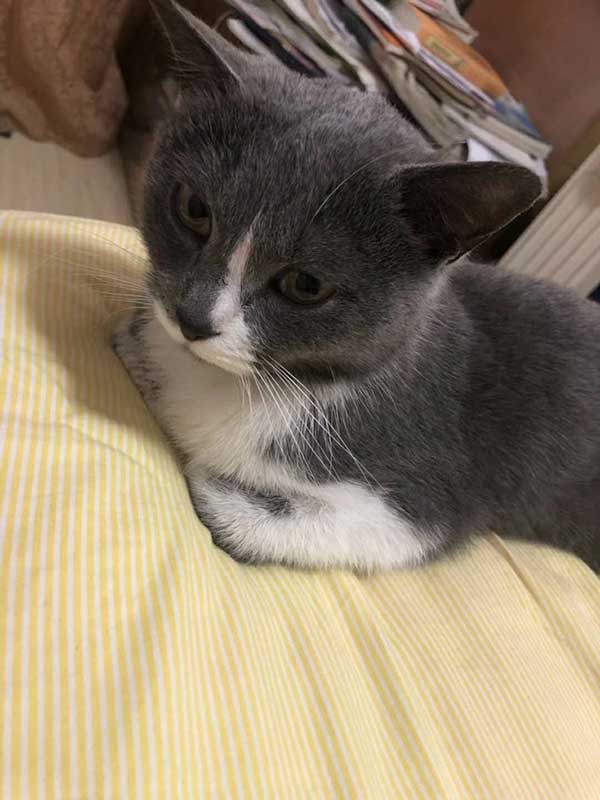 呜呜呜呜有没有见过她的呜呜呜呜呜呜呜